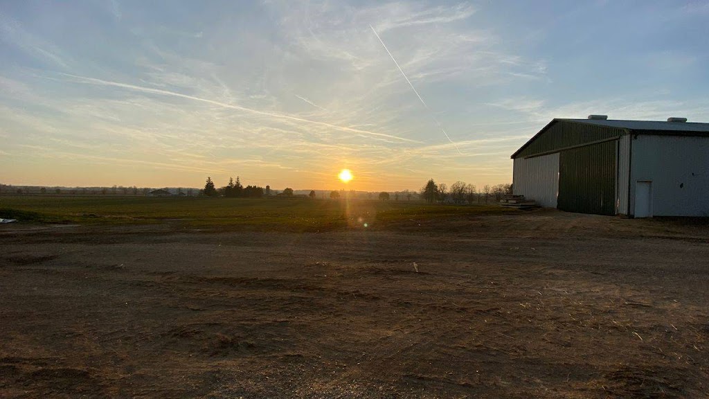 Walley Custom Ag | county rd 199 5713, Milverton, ON N0K 1M0, Canada | Phone: (519) 703-2171