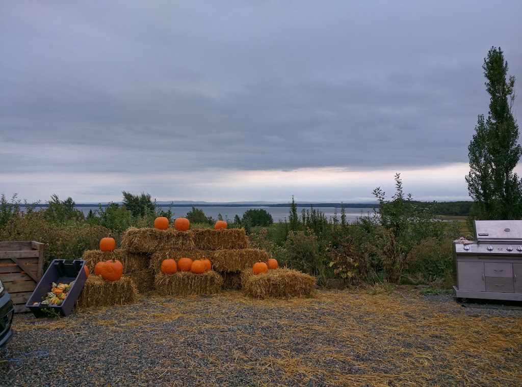 Vista Bella Farm | 2859 Malagash Rd, Malagash, NS B0K 1E0, Canada | Phone: (902) 257-2288