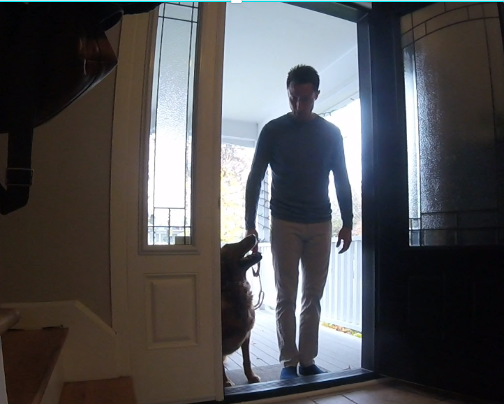 Leadership Based Dog Training | 104 Av. Angell, Beaconsfield, QC H9W 4V7, Canada | Phone: (514) 965-5869