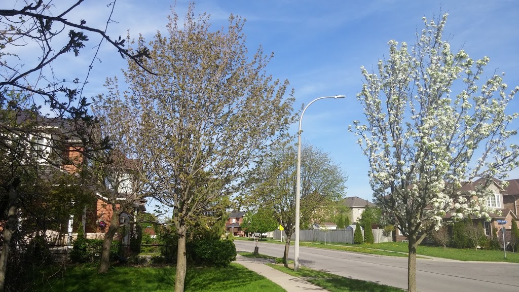 Iona Park | 1 Iona Ct, Whitby, ON L1R 2R3, Canada