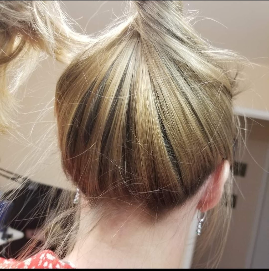 Alenas Hairstyle | 12 Goldfinch Ct, Toronto, ON M2R 2C4, Canada | Phone: (647) 836-7025