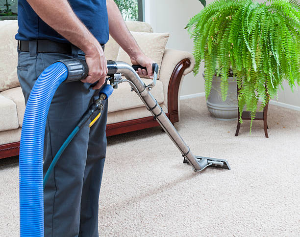 Diamond Carpet Cleaning | 1376 Winnipeg Ave W, Winnipeg, MB R3E 0S6, Canada | Phone: (204) 783-9915