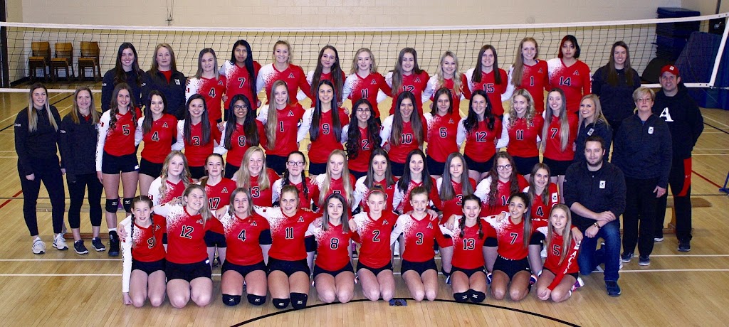 ACE Volleyball Club- Lethbridge Chapter | 3160 36 St N, Lethbridge, AB T1H 7E5, Canada | Phone: (403) 808-6249