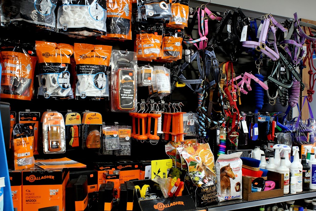 Boutique Du Compagnon | 2042 Avenue St Laurent, Plessisville, QC G6L 2R3, Canada | Phone: (819) 362-7331