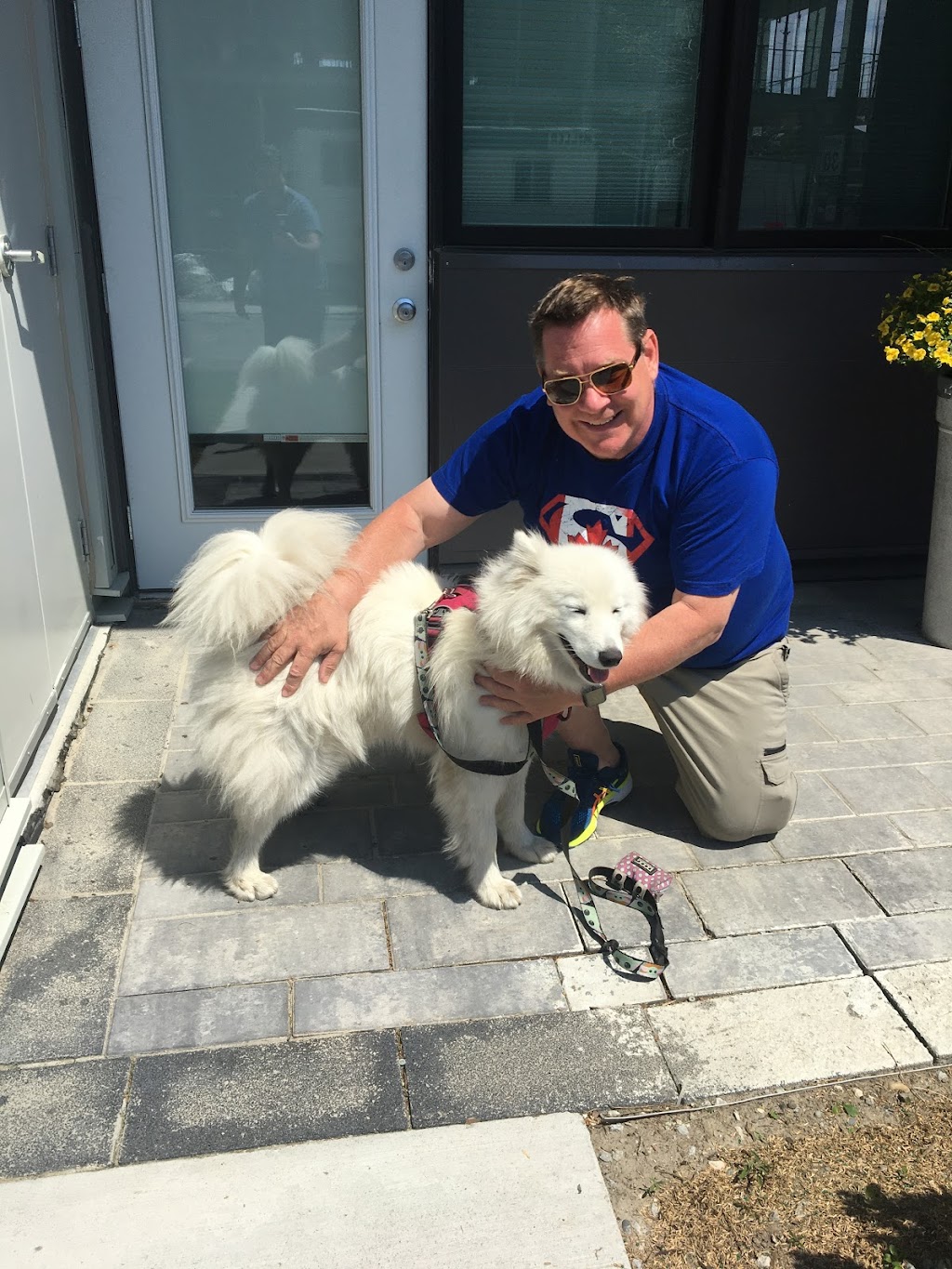 Four Paws a Walking Concierge Service For Pets | 2 Rima Ct, Etobicoke, ON M9C 4C8, Canada | Phone: (905) 872-7326