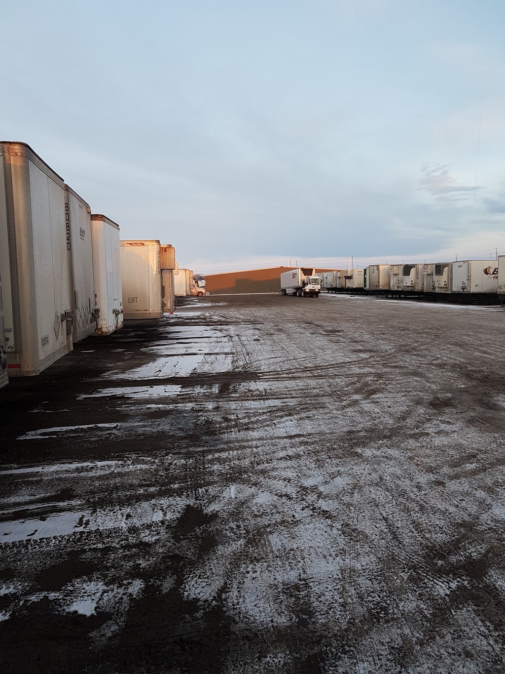 Bison Transport | 234090 Wrangler Rd, Rocky View No. 44, AB T1X 0K2, Canada | Phone: (800) 462-4766
