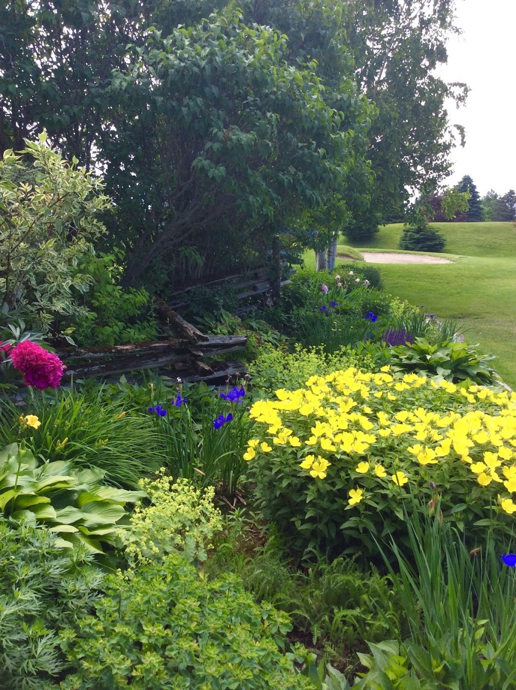 Heron Landing Golf Club | 2361 Lansdowne St W, Peterborough, ON K9J 6X4, Canada | Phone: (705) 740-9726
