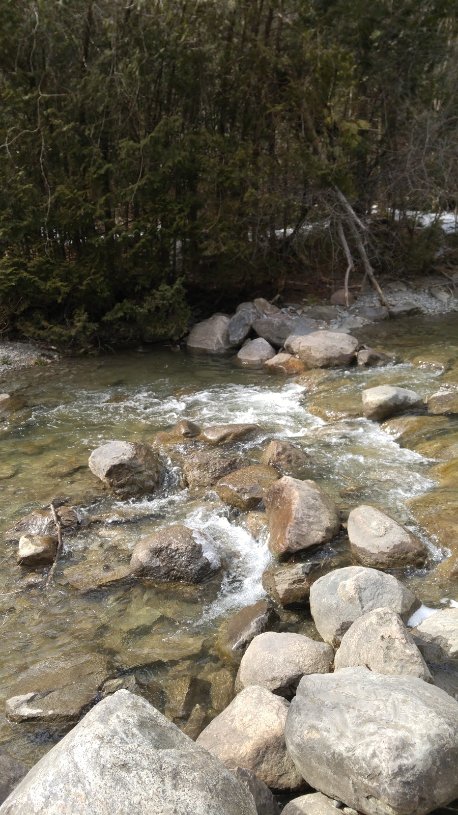 Heber Down Conservation Area - parking lot | Whitby, ON L1P 2A3, Canada