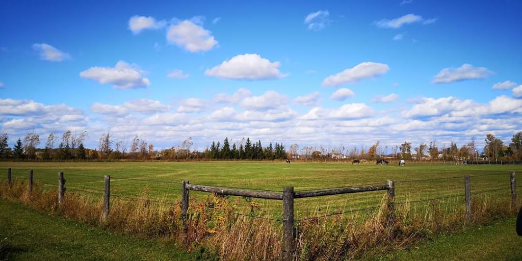 Grassie Training Center | 8250 Mud St W, Grassie, ON L0R 1M0, Canada | Phone: (905) 380-4391