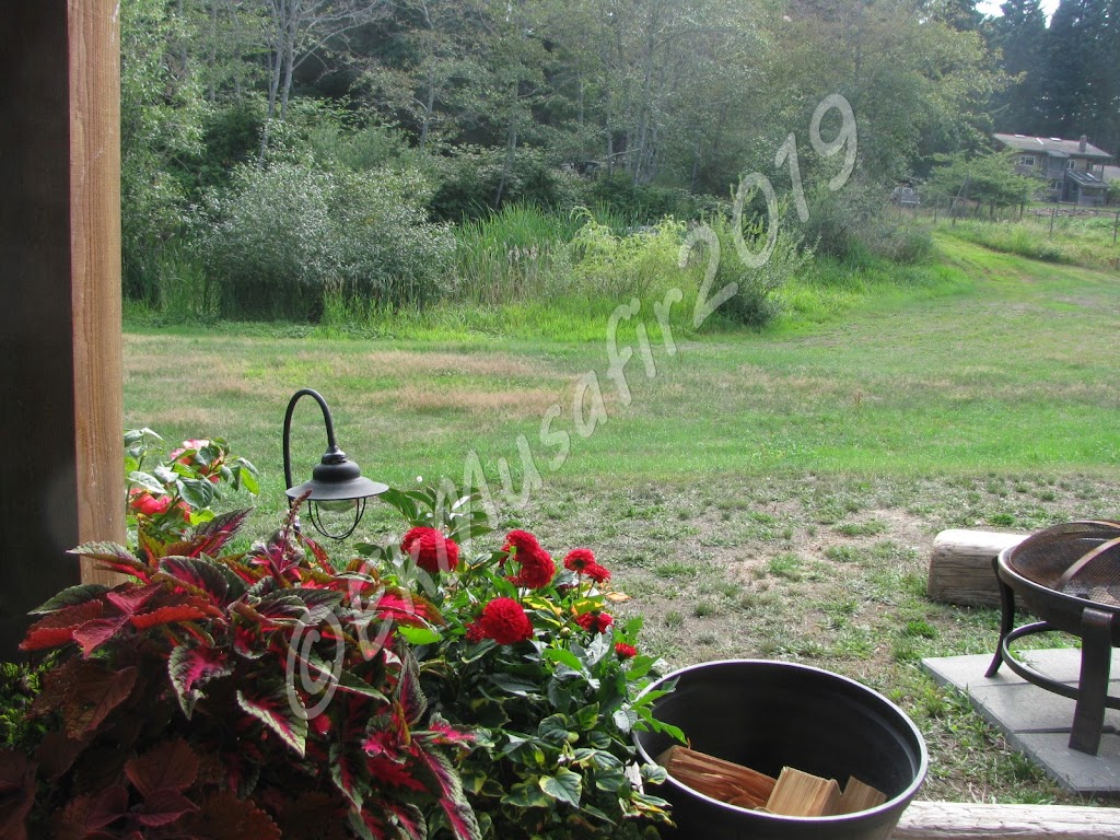 Salmon Point B&B | 2153 Salmon Point Rd, Campbell River, BC V9H 1E5, Canada | Phone: (250) 287-6448