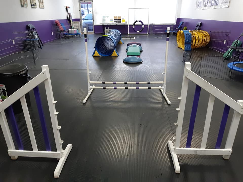 Team Fido Dog Training | 3165 Lakefield Rd, Peterborough, ON K9J 6X5, Canada | Phone: (705) 652-6758