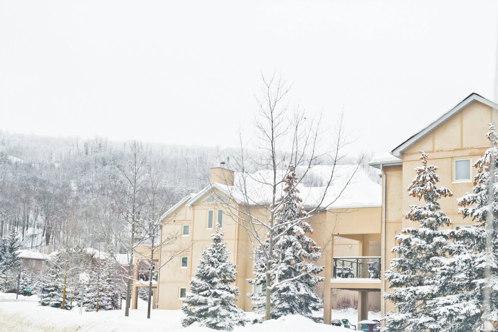 Blue Mountain | 796562 Grey County Rd 19, The Blue Mountains, ON L9Y 0S5, Canada | Phone: (877) 445-0231