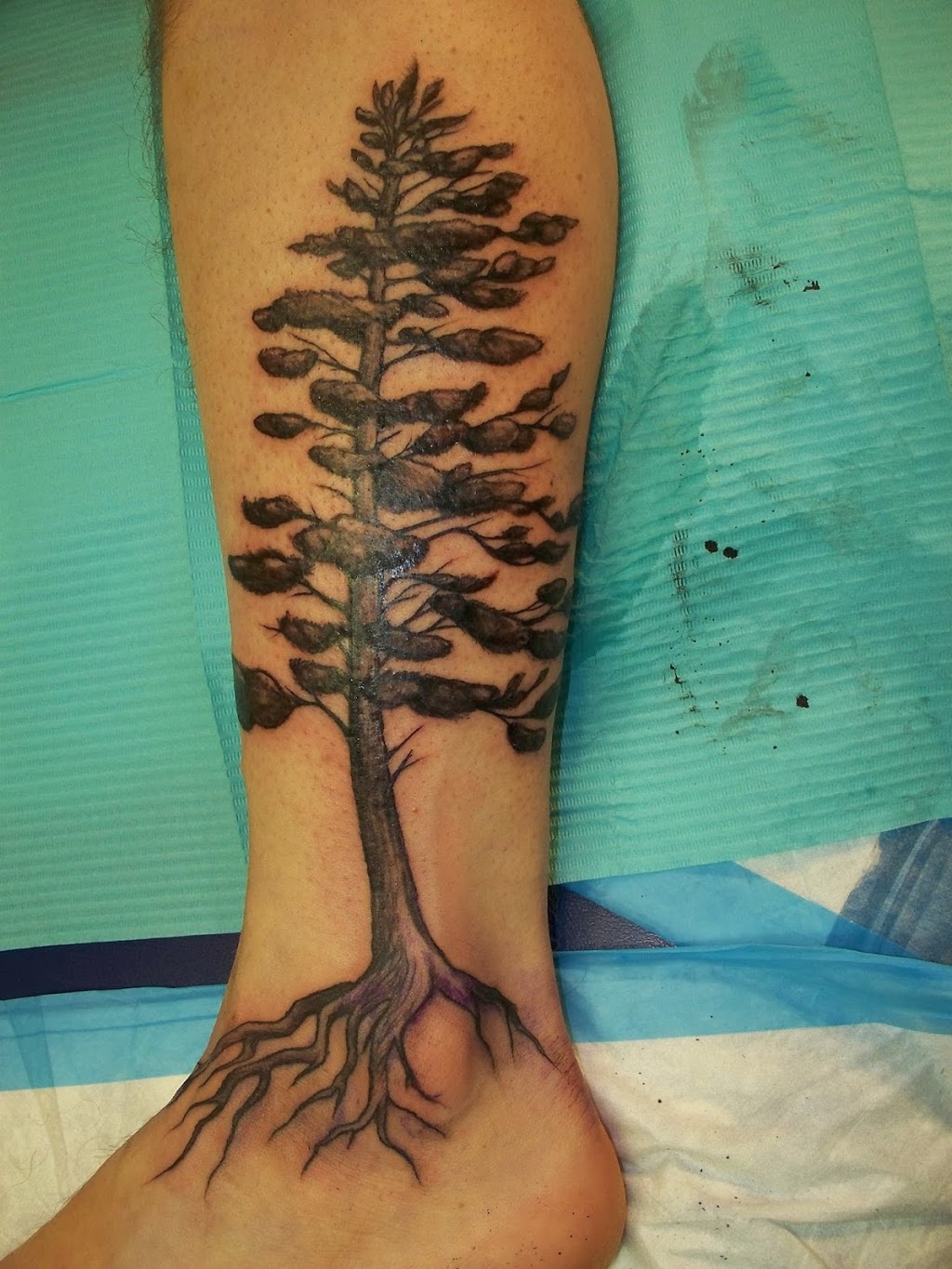 Nighthawk Tattoo And Gallery | 951 Gordon St, Guelph, ON N1G 4S1, Canada | Phone: (519) 767-0801