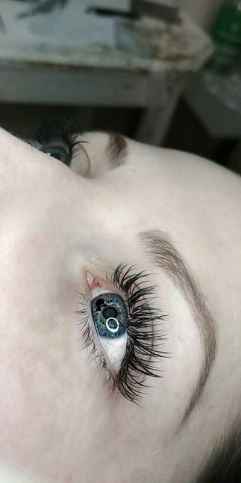 Centre Wellington Lash Co. | Fergus, ON N1M 1W6, Canada | Phone: (519) 831-5421