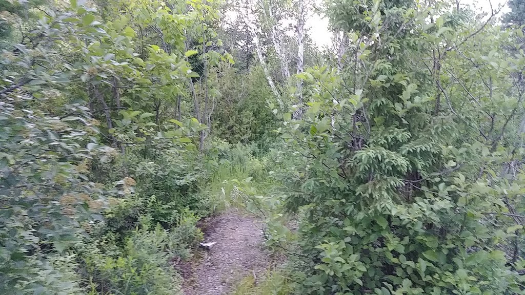 Centre dinterprétation de lHerbier | 731-627 QC-329, Lantier, QC J0T 1V0, Canada