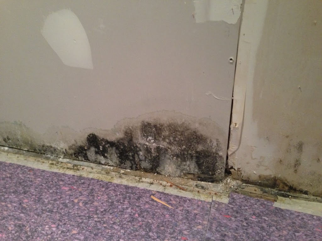The Crack Doctor Waterproofing Company | 140 Pathfinder Crescent, Kitchener, ON N2P 1S6, Canada | Phone: (519) 584-2339