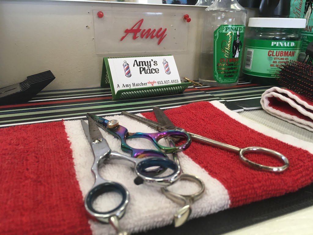 Amys Place | 455 Ridge Rd, Stirling, ON K0K 3E0, Canada | Phone: (613) 827-4923