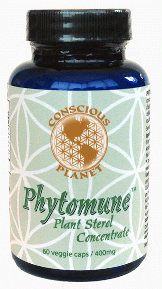 Conscious Planet | 5589 Byrne Rd, Burnaby, BC V5J 3J4, Canada | Phone: (604) 432-1066
