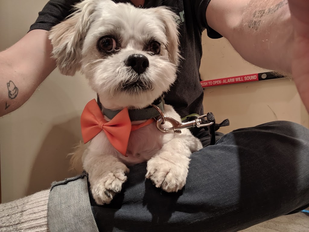 Woof & Meow Spa - Dog & Cat Grooming - Vancouver | 2502 Nanaimo St, Vancouver, BC V5N 5X1, Canada | Phone: (604) 255-3795