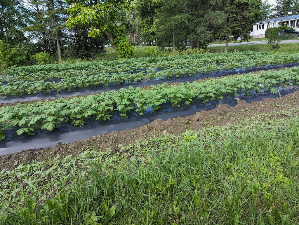 Les jardins du ruisseau sud | 2621 Rang du Ruisseau S, Saint-Ours, QC J0G 1P0, Canada | Phone: (450) 730-7932