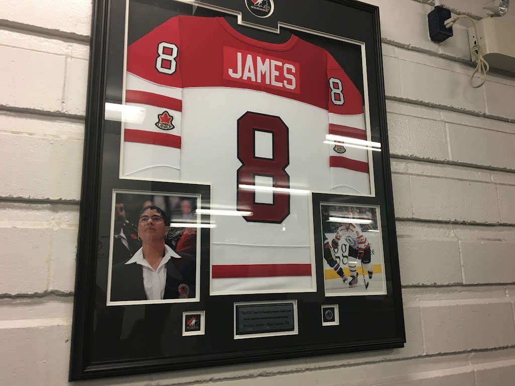 Angela James Arena | 165 Grenoble Dr, North York, ON M3C 3E7, Canada | Phone: (416) 395-7838