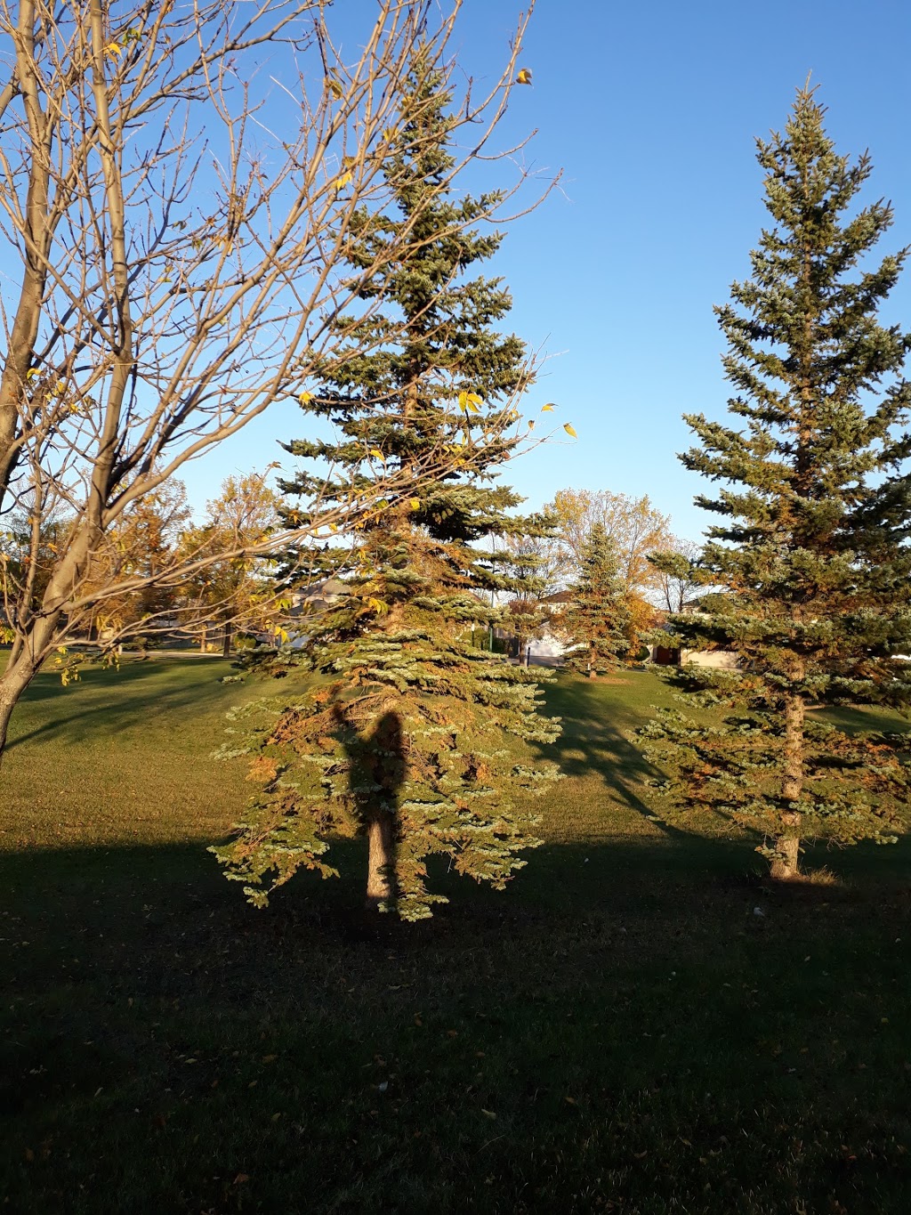 Kleysen Park | 238 Tweedsmuir Rd, Winnipeg, MB R3P 2K5, Canada