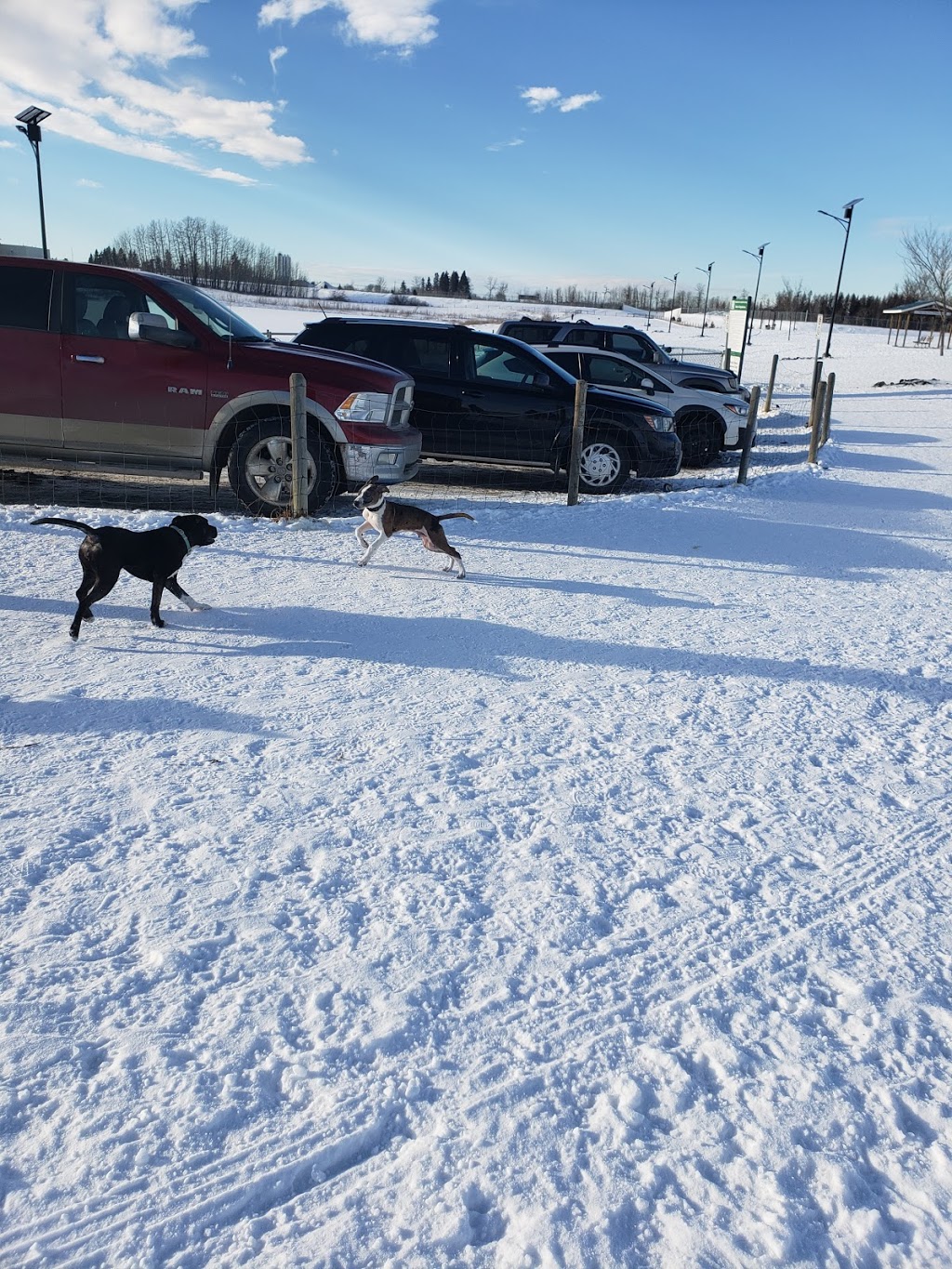 Umbach Off-leash Dog Park | 969 Boulder Blvd, Stony Plain, AB T7Z 2Y2, Canada