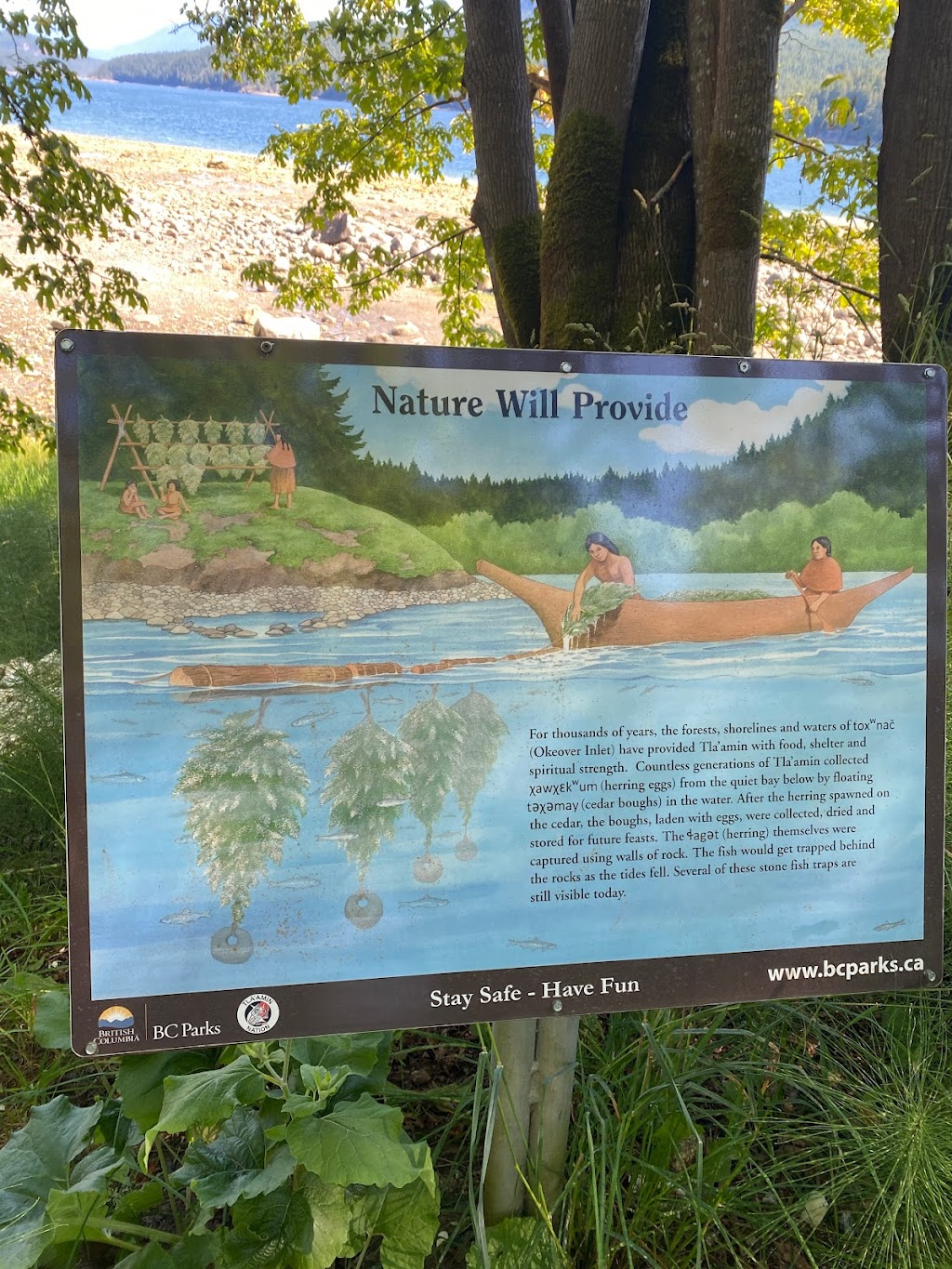 Okeover Arm Provincial Park | Powell River, BC V8A 0G4, Canada | Phone: (800) 689-9025