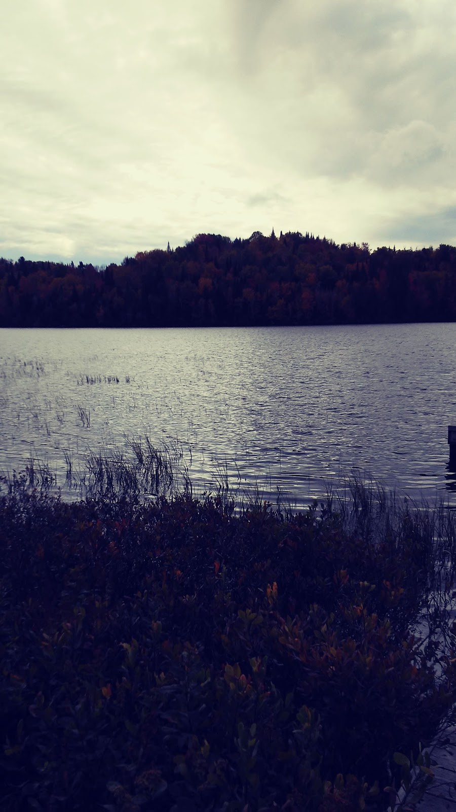 Parc Arpin | 125 Chemin du Lac Arpin, Lantier, QC J0T 1V0, Canada | Phone: (819) 326-2674