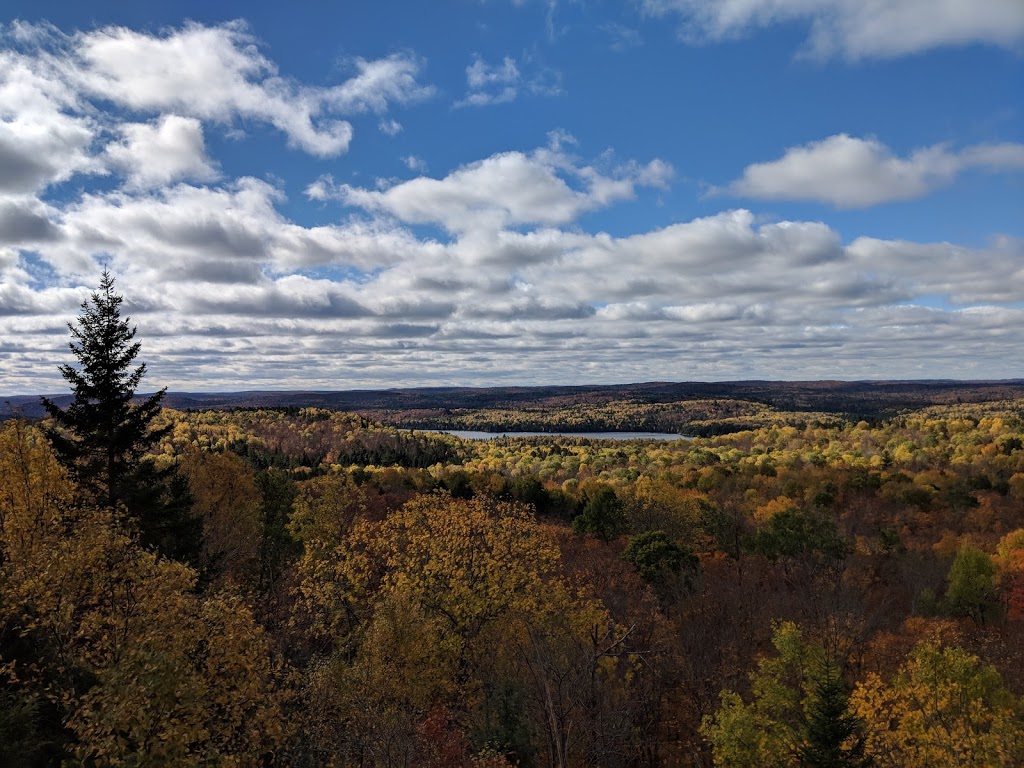 Muskoka Pioneer Power | 331 Fraserburg Rd, Bracebridge, ON P1L 0A1, Canada