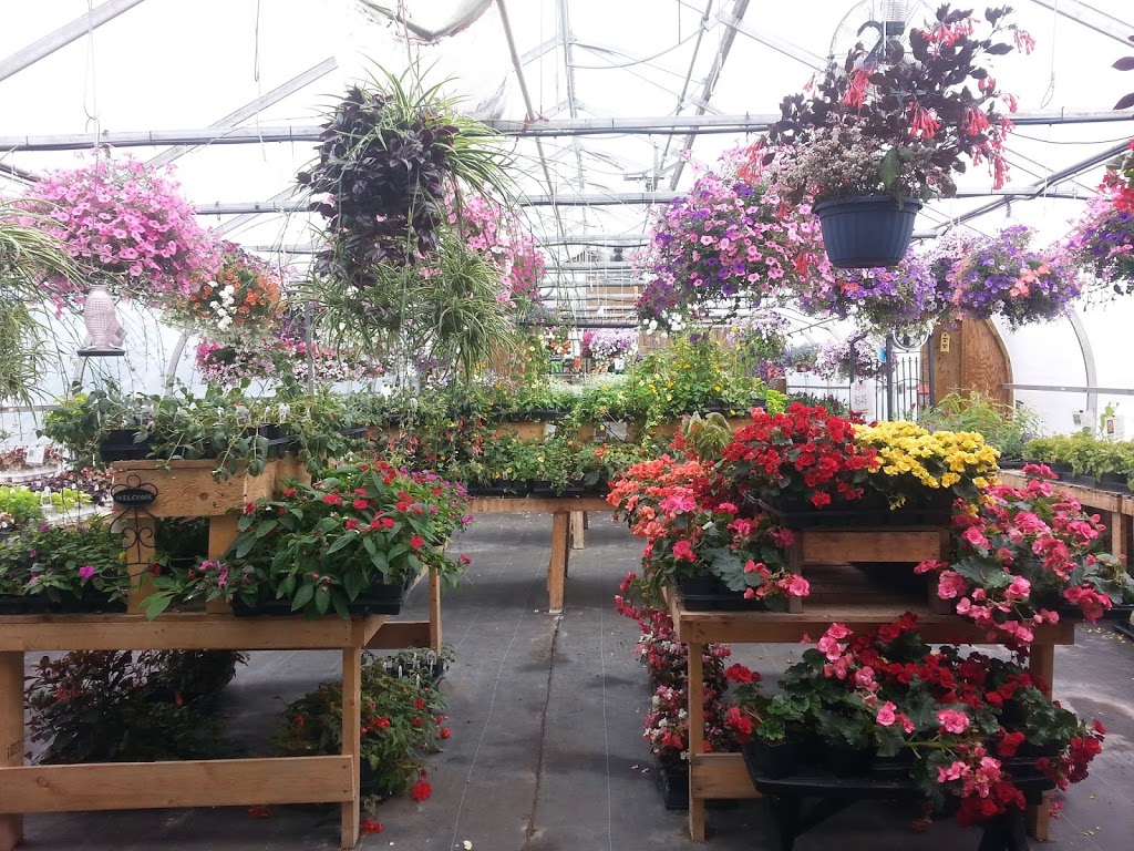 Country Gardens and Greenhouse Ponoka | RR 1 Stn Main, 432028 AB-822, Ponoka County, AB T4J 1R1, Canada | Phone: (403) 704-4145