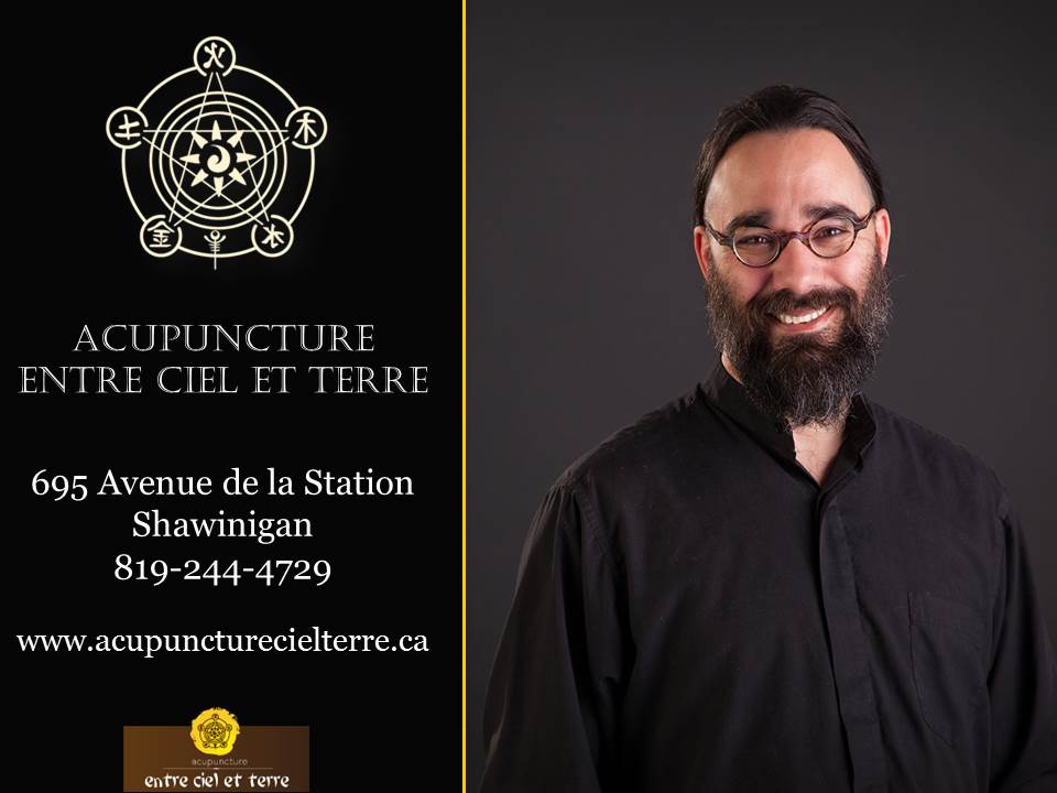 Acupuncture entre Ciel Et Terre | 695 Avenue de la Station #201, Shawinigan, QC G9N 1V9, Canada | Phone: (819) 244-4729