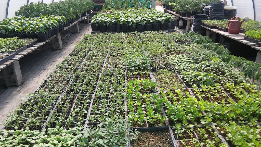 Hnatiuk Gardens | 3850 Mowat Rd, East Saint Paul, MB R2E 1B5, Canada | Phone: (204) 297-0857