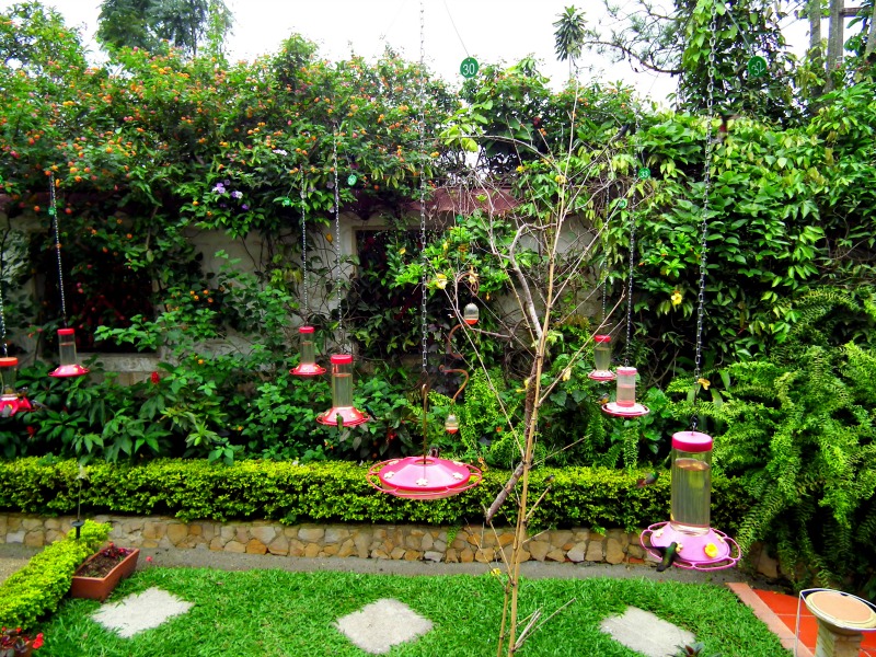 Homeland Toronto S Garden Centre 750 Danforth Rd Scarborough On M1k 1g5 Canada