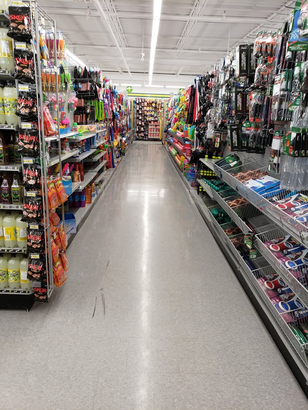Dollar Tree | 769 Southdale Rd E, London, ON N6E 4A4, Canada | Phone: (519) 691-0555