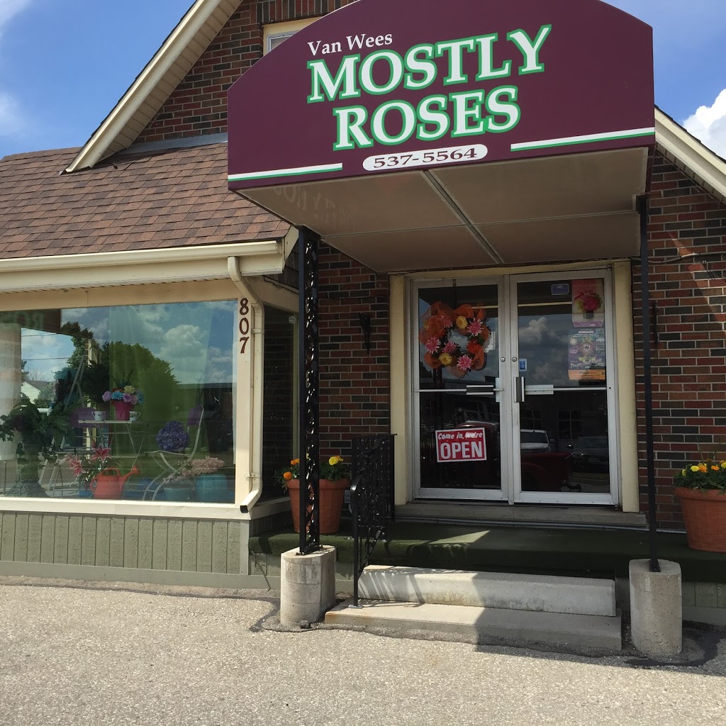 VanWees Mostly Roses | 807 Dundas St, Woodstock, ON N4S 1G2, Canada | Phone: (519) 537-5564