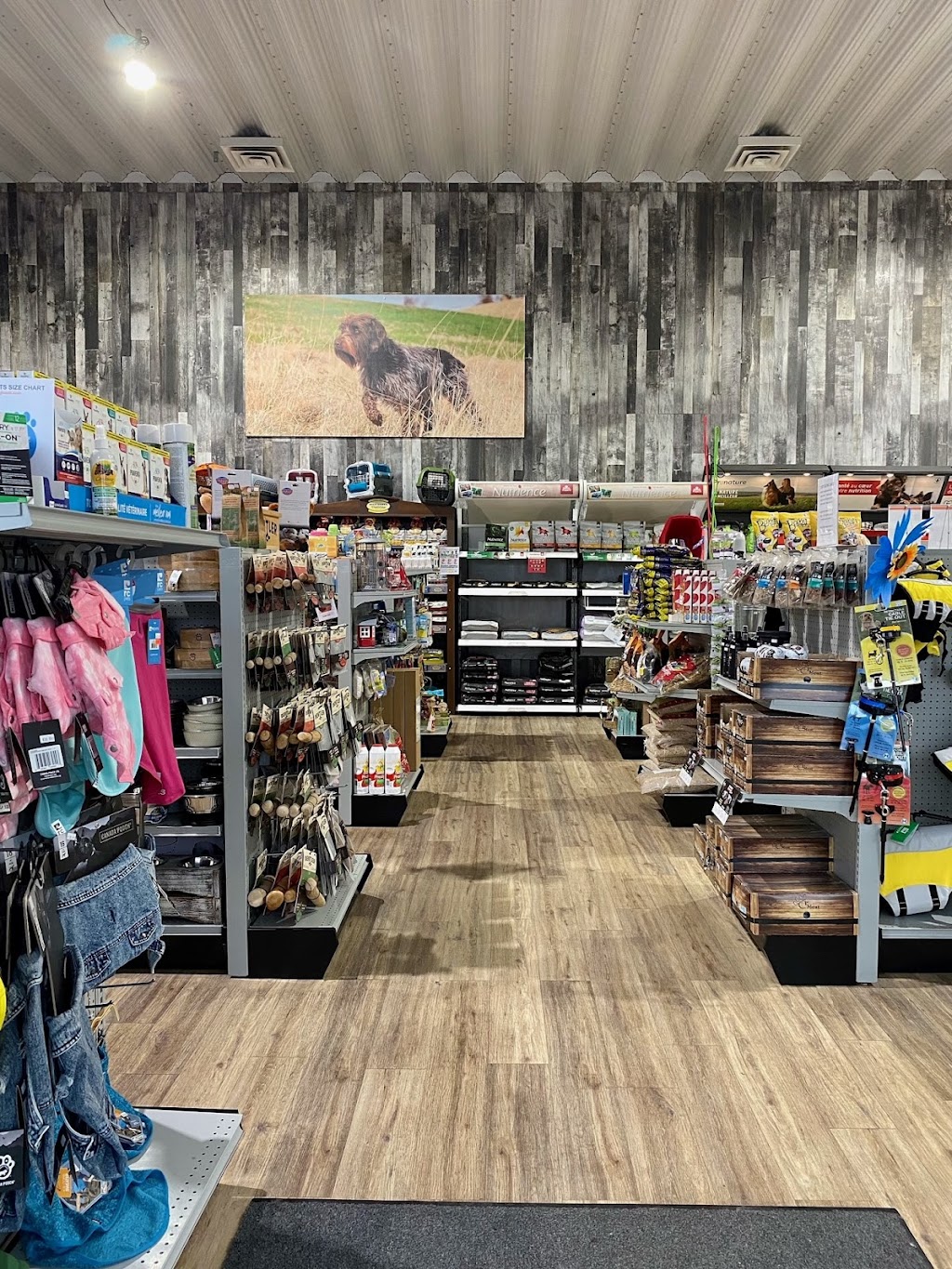 Agri-Solutions | Compagnon | 1795 Av. du Pont S, Alma, QC G8B 6N3, Canada | Phone: (418) 344-1709