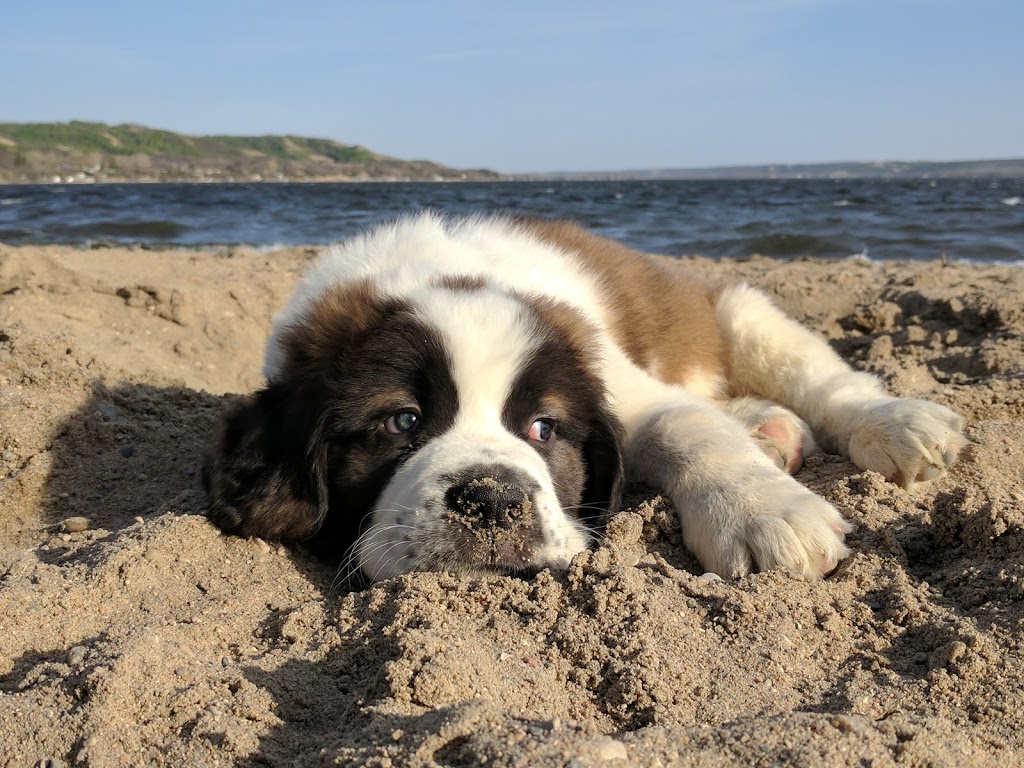 Katepwa Beach Golf Club | Katepwa Beach, SK S0G 2Y0, Canada | Phone: (306) 332-2582