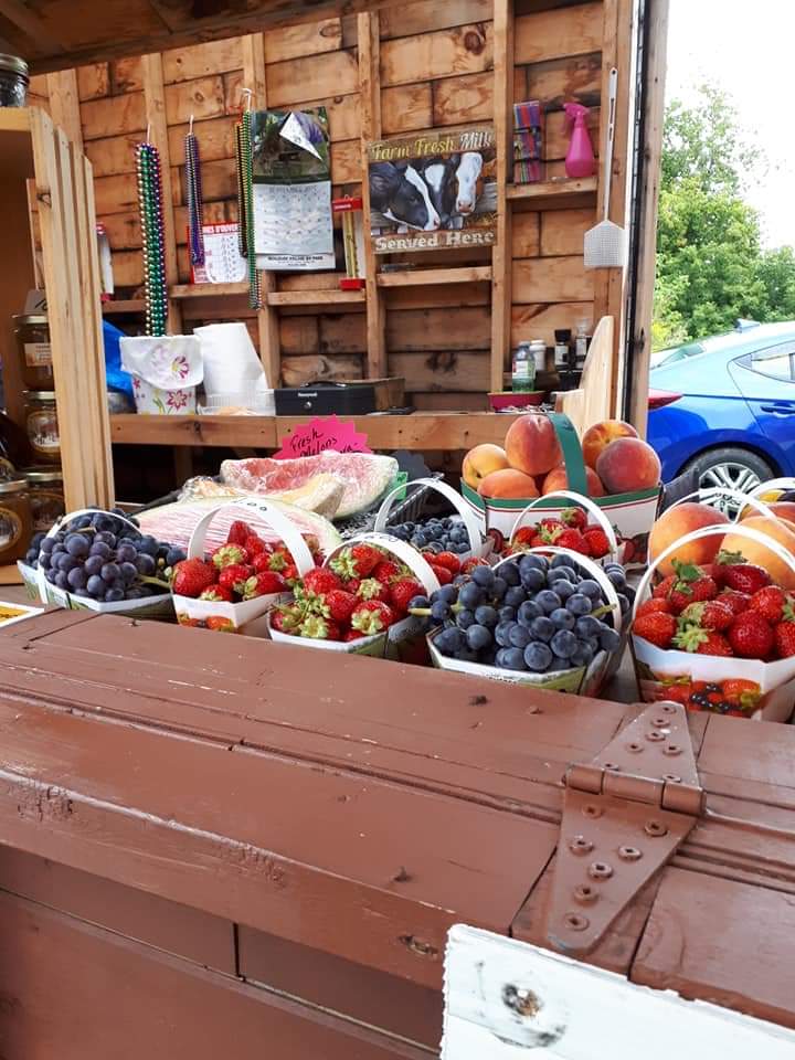 Le Potager de Francoise | 1841 Principale St, Chute-à-Blondeau, ON K0B 1B0, Canada | Phone: (450) 612-4746