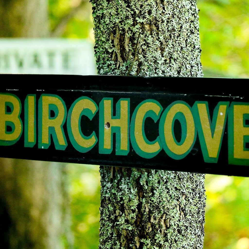 Birch Cove Sound | 15 Towns Rd #201, Etobicoke, ON M8Z 1A2, Canada | Phone: (416) 605-9958