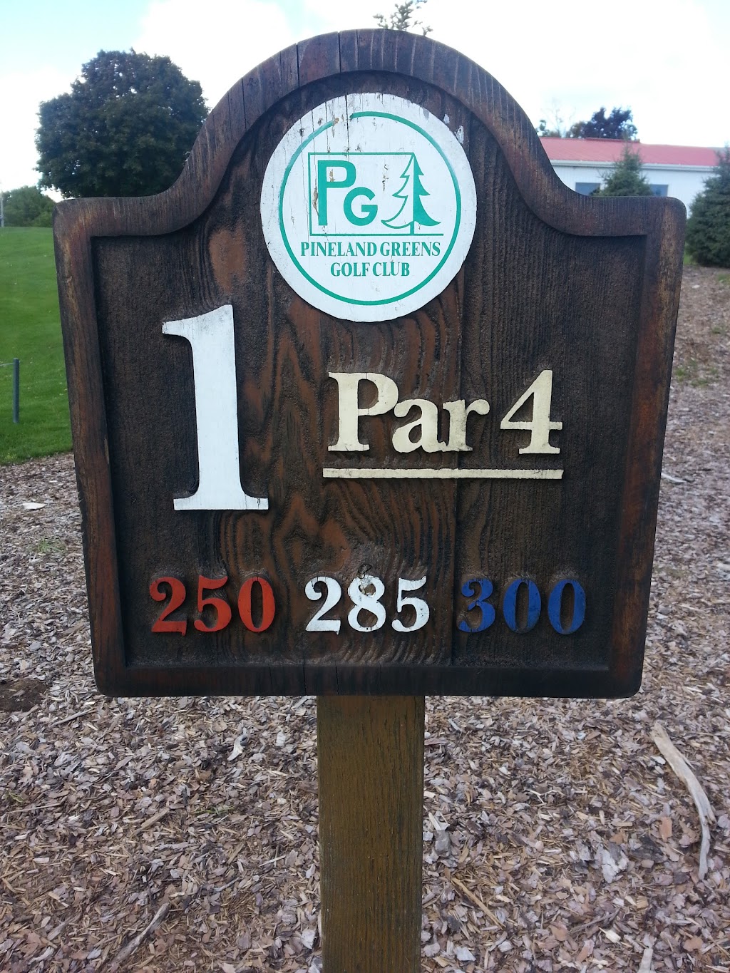 Pineland Greens Golf Club | 722 Safari Rd, Millgrove, ON L8B 1S8, Canada | Phone: (905) 659-1271
