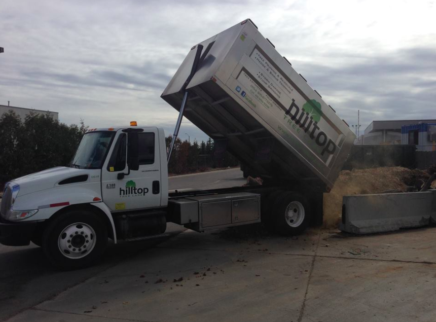 Hilltop Tree Care | 112 Guelph St, Georgetown, ON L7G 4T1, Canada | Phone: (905) 877-5279
