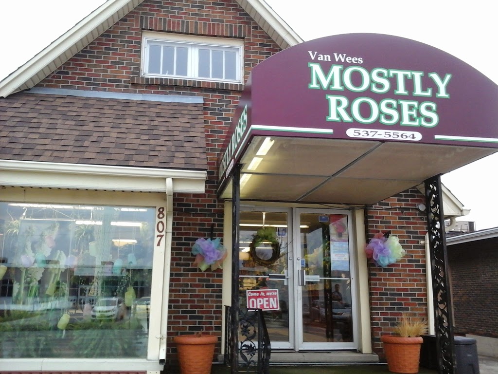 VanWees Mostly Roses | 807 Dundas St, Woodstock, ON N4S 1G2, Canada | Phone: (519) 537-5564