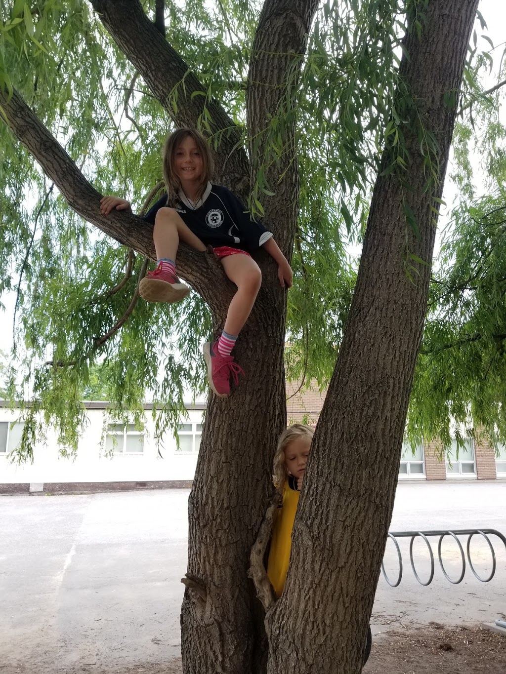 Rabbi Bulka Kindness Park | Ottawa, ON K1H 6S2, Canada | Phone: (613) 580-2595