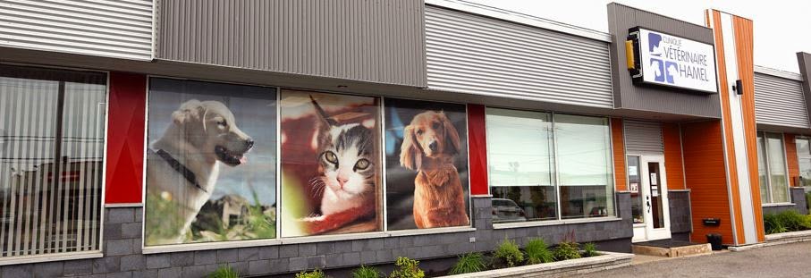 Clinique Vétérinaire Hamel | 6366 Boulevard Wilfrid-Hamel, LAncienne-Lorette, QC G2E 2H9, Canada | Phone: (418) 872-4942