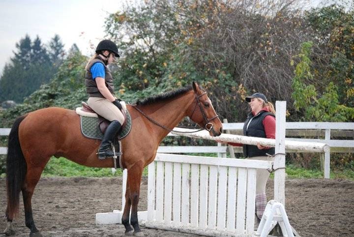 ABEquestrian | 3950 88 St, Delta, BC V4K 3N3, Canada | Phone: (778) 892-0616