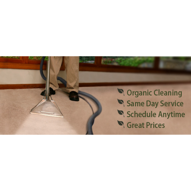capitol Carpet cleaning services | 1 Whitmore Rd #30, Woodbridge, ON L4L 8G4, Canada | Phone: (416) 744-3400