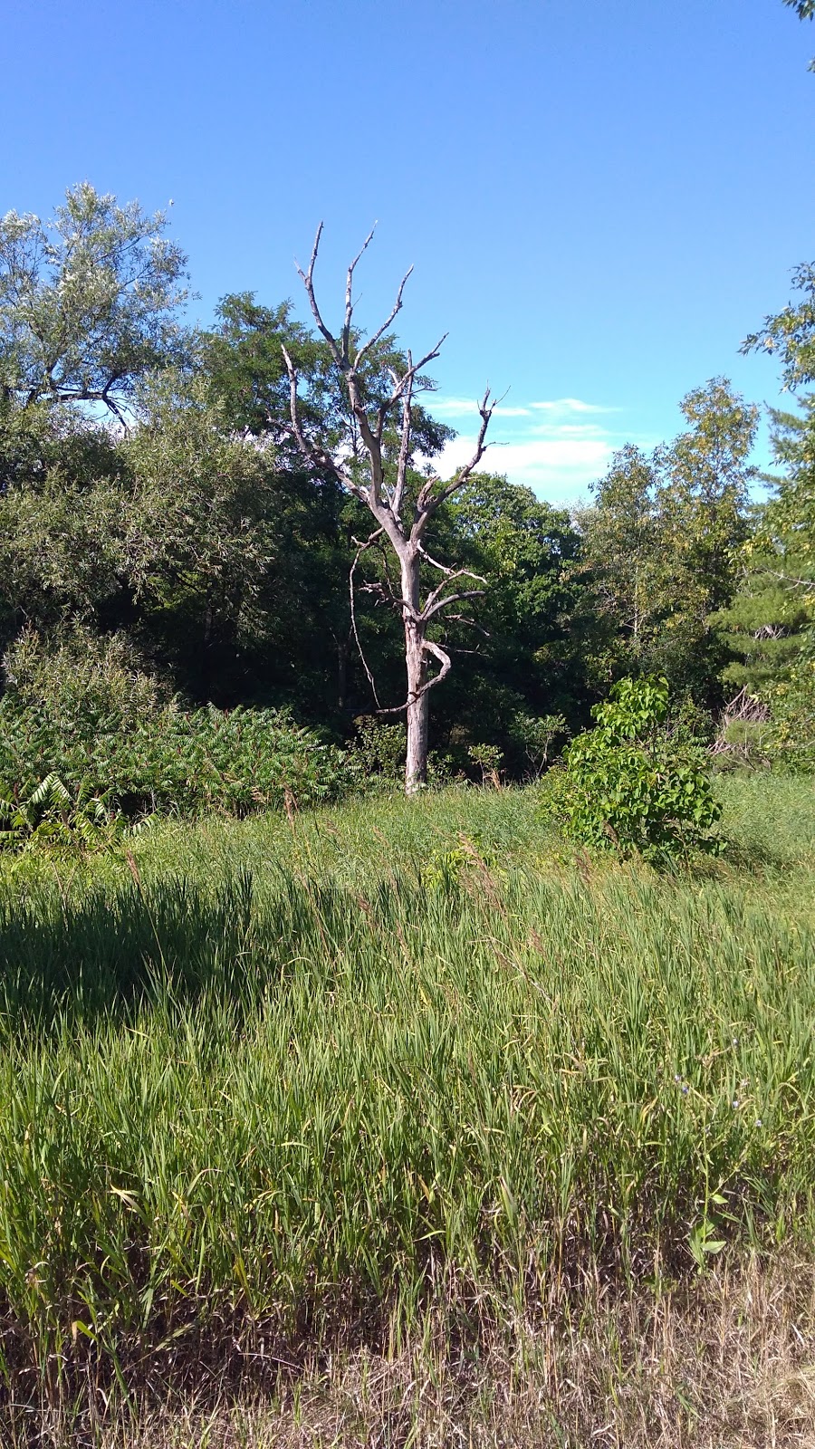 Marshlands Vacation Rental | 207 County Rd 11, Picton, ON K0K 2T0, Canada | Phone: (613) 476-1805