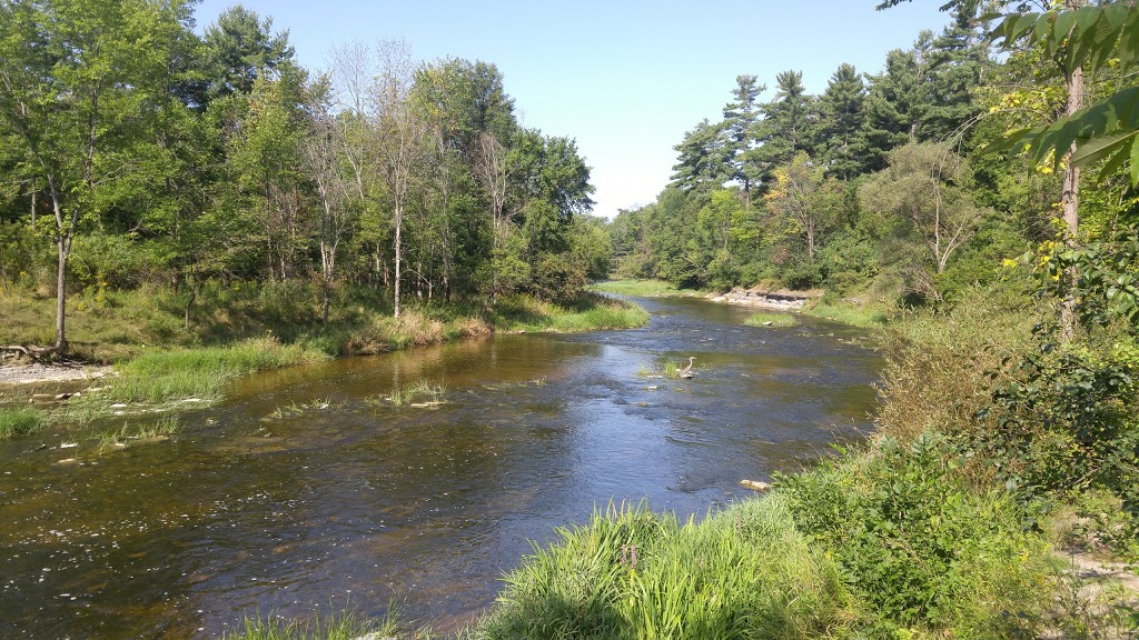 Fitzroy Provincial Park | 5201 Canon Smith Dr, Fitzroy Harbour, ON K0A 1X0, Canada | Phone: (613) 623-5159