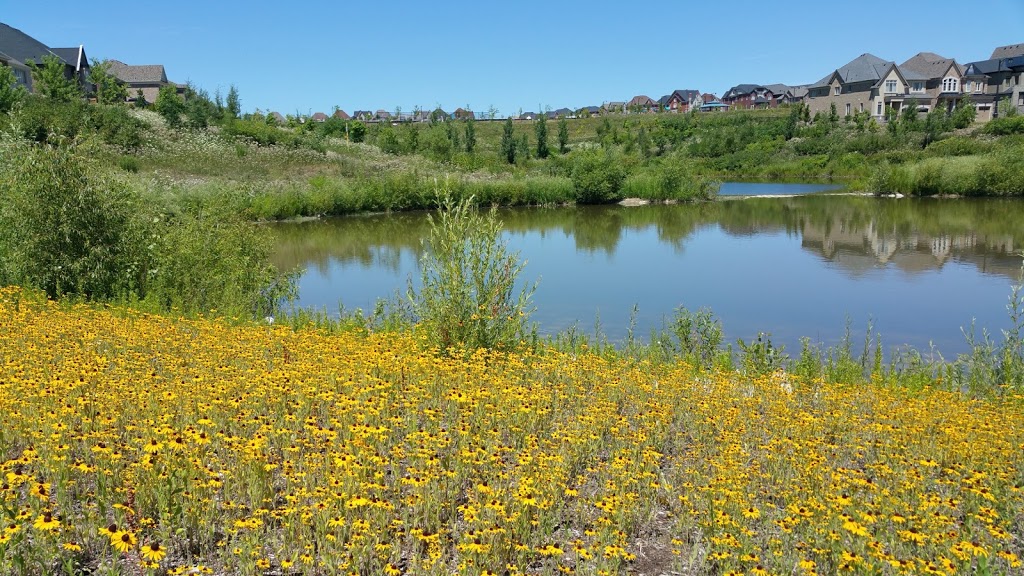 Clearview Park | 106 Via Romano Blvd, Vaughan, ON L6A 4X1, Canada